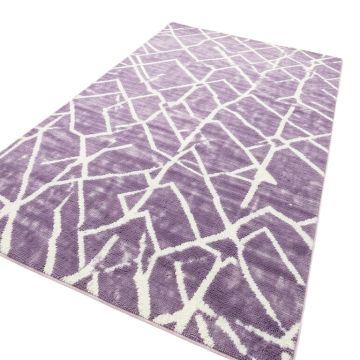 Tonto Geometric Tufted Purple/White Area Rug
