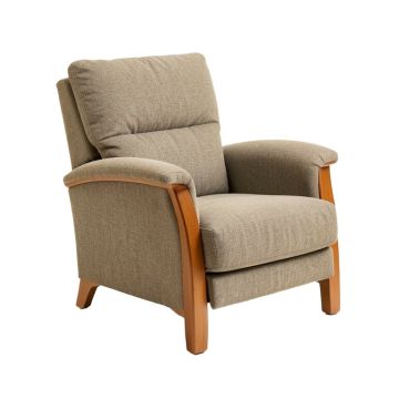 Lamontagne 26.5 '' Wide Manual Wing Chair Recliner (synthetic illustration; no displayed measurements)