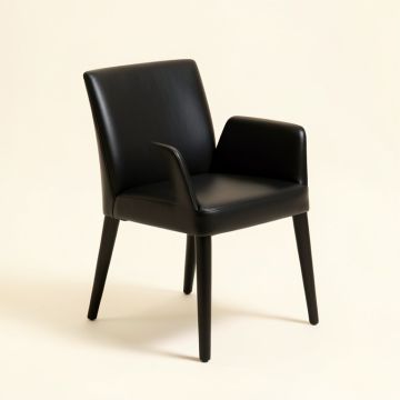 Leddy Sside Chair In Black (synthetic illustration; no displayed measurements)
