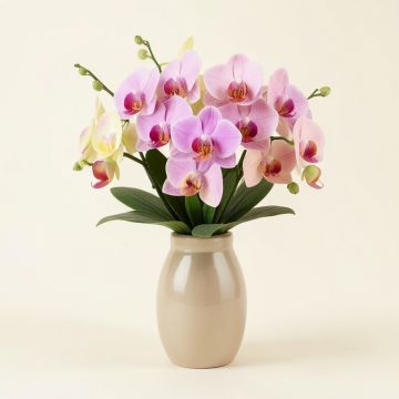 Orchids Floral Arrangement In Vase (synthetic illustration; no displayed measurements)