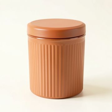 Cove Branch Storage Canister With Lid - Terracotta (synthetic illustration; no displayed measurements)