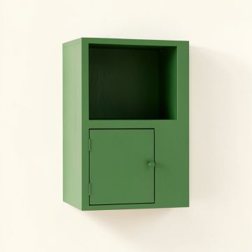 Moss Brook Wall-Mounted Entry Cabinet - Green (synthetic illustration; no displayed measurements)
