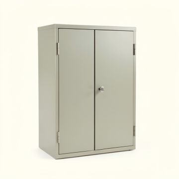 Edition 400 Surface Mount Frameless 2 Doors Medicine Cabinet With 6 Adjustable (synthetic illustration; no displayed measurements)