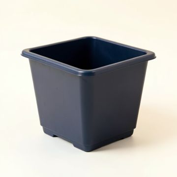 Clay Arc Empty Planter (synthetic illustration; no displayed measurements)