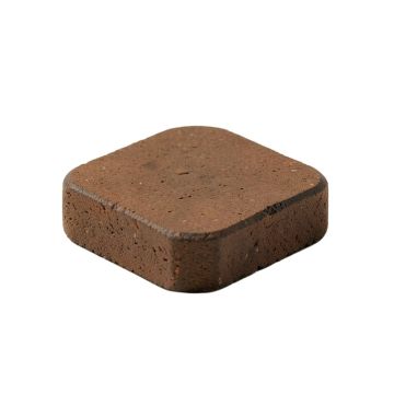 Bees Stepping Stone