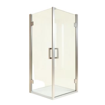 Infinity 43 '' W X 70 '' H Semi-Frameless Shower Door