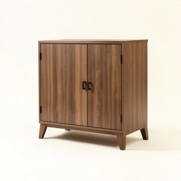 Fung 2 Door Accent Cabinet (synthetic illustration; no displayed measurements)