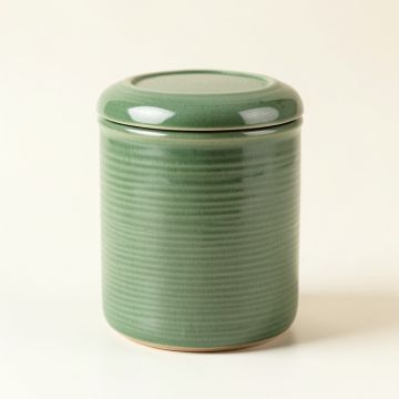 Harbor Canyon Storage Canister With Lid - Green (synthetic illustration; no displayed measurements)