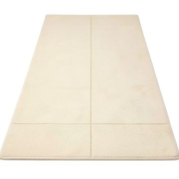 Connie Champagne/Cream Area Rug (synthetic illustration; no displayed measurements)