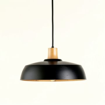 Bay Crossing Pendant Light Suspended From One Plain Cable - Black (synthetic illustration; no displayed measurements)