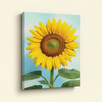 Sunflower Modern (synthetic illustration; no displayed measurements)