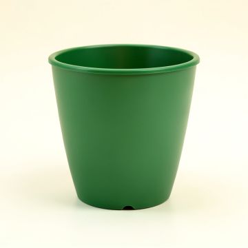 Aspen Arc Empty Planter (synthetic illustration; no displayed measurements)