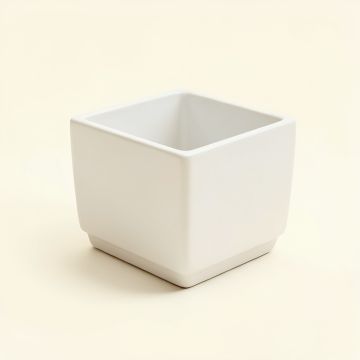 Rowan Dale Empty Planter - White (synthetic illustration; no displayed measurements)