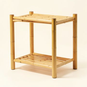 2-Tier Shoe Rack (synthetic illustration; no displayed measurements)