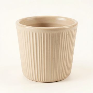 Ash Crossing Empty Planter - Beige (synthetic illustration; no displayed measurements)