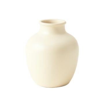 Field Branch Empty Decorative Vase - Cream
