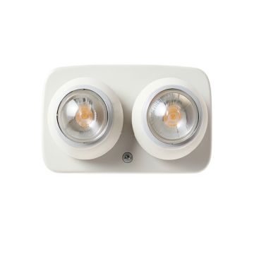 Natalee 2-Light Armed Sconce (synthetic illustration; no displayed measurements)