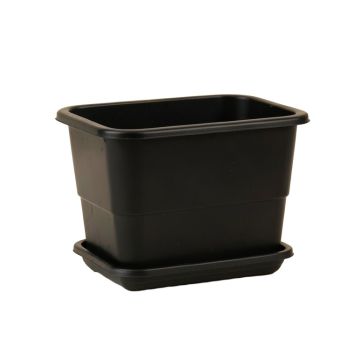 Dawn Branch Empty Raised Planter - Black
