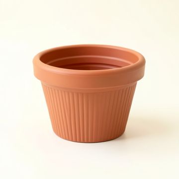 Ash Crest Empty Planter - Terracotta (synthetic illustration; no displayed measurements)