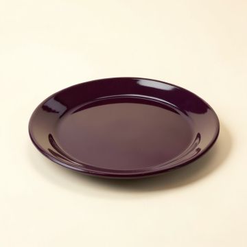 Pebble Creek 6 '' Melamine Appetizer Plate (synthetic illustration; no displayed measurements)
