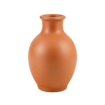 Meadow Bluff Empty Decorative Vase - Terracotta