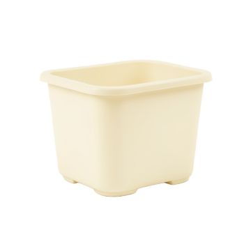 Cedar Bridge Empty Raised Planter - Ivory
