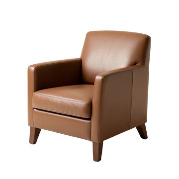 Agostini Upholstered Arm Chair