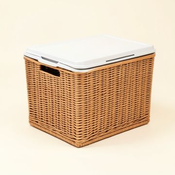 80 Qt . Cooler (synthetic illustration; no displayed measurements)