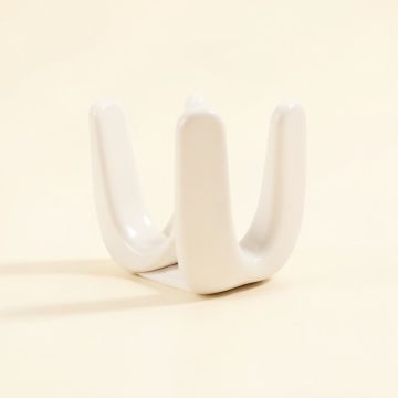 Lakewood Resin Shower Curtain Hooks (synthetic illustration; no displayed measurements)