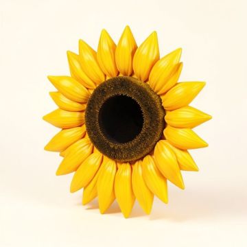 Wacky Sun (synthetic illustration; no displayed measurements)