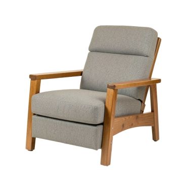Capsicum 33.5 '' Wide Power Lift Assist Standard Recliner