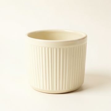 Field Branch Empty Planter - Ivory (synthetic illustration; no displayed measurements)