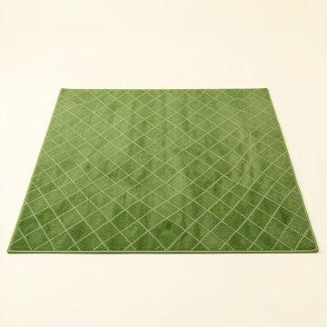 Harbor Bluff Rectangular Area Rug - Green (synthetic illustration; no displayed measurements)