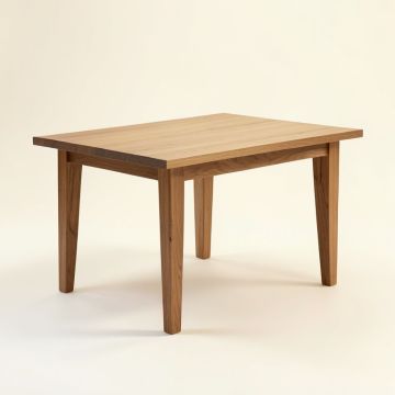 Destinie Extendable Solid Wood Dining Table (synthetic illustration; no displayed measurements)