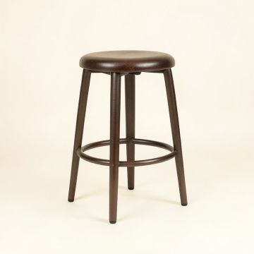 Ginnie Counter & Bar Stool (synthetic illustration; no displayed measurements)