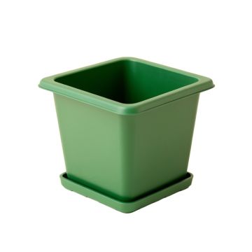 Pine Arc Empty Planter - Green