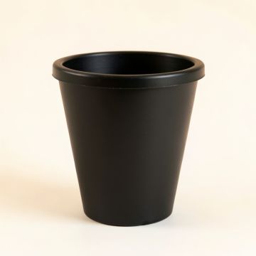 Birch Bend Empty Planter - Black (synthetic illustration; no displayed measurements)