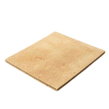 Arden Welcome Paw 36 In . X 24 In . Non-Slip Outdoor Door Mat