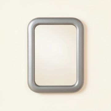 Hazel Branch Framed Wall Mirror - Gray (synthetic illustration; no displayed measurements)