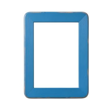 Briar Branch Framed Wall Mirror - Blue
