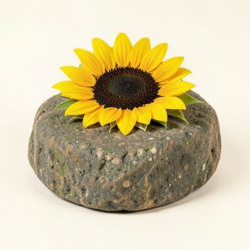 Lusher Sunflower Lady Garden Stepping Stone (synthetic illustration; no displayed measurements)