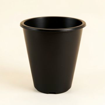 Clay Dale Empty Planter - Black (synthetic illustration; no displayed measurements)