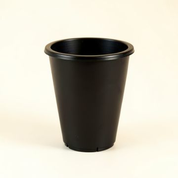 Linden Canyon Empty Planter - Black (synthetic illustration; no displayed measurements)