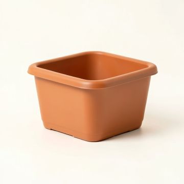 Ash Bend Empty Raised Planter - Terracotta (synthetic illustration; no displayed measurements)
