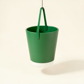 Weldon Plastic Hanging Planter (synthetic illustration; no displayed measurements)