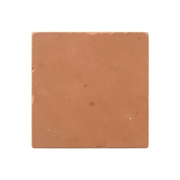 Rowan Brook Uninstalled Square Decorative Tile - Terracotta