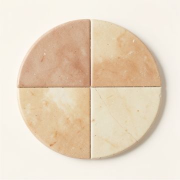 Shore Penny 0.99 '' X 0.99 '' Seashell Penny Round Mosaic Tile (synthetic illustration; no displayed measurements)