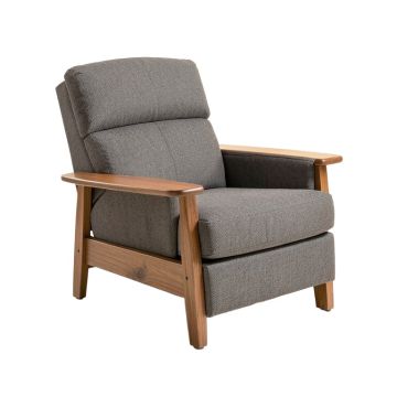Brunkil 38 '' Wide Power Standard Recliner