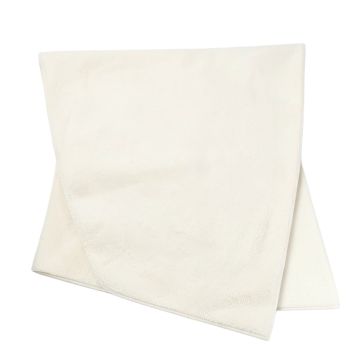 Wiersma Luxurious Off White Area Rug