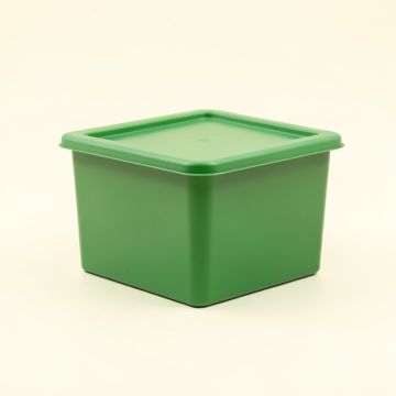 Harbor Canyon Closed Outdoor Storage Box - Green (synthetic illustration; no displayed measurements)